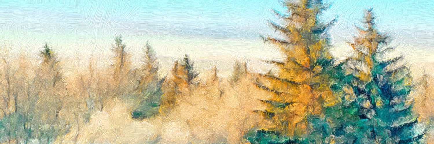 Trudy Lynn🇨🇦💙🇺🇦🌻 banner