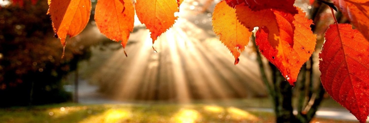 lindasue51's profile banner image