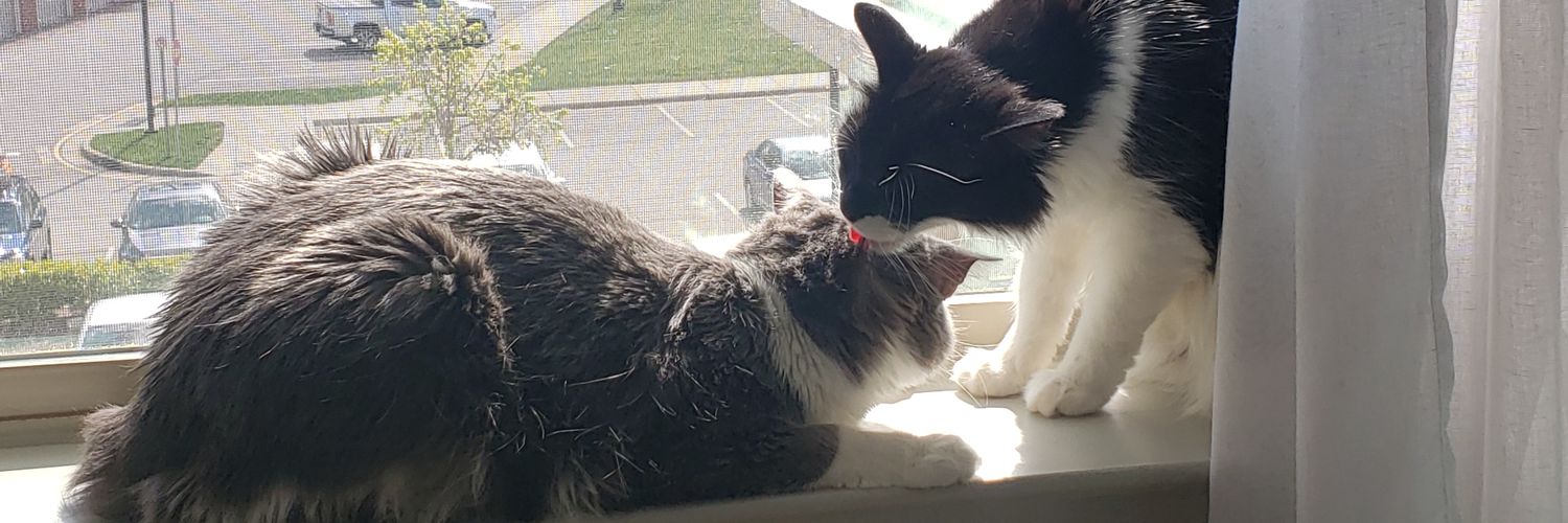 Samantha Ragsdale banner