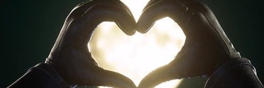 That One Wolf Dude banner