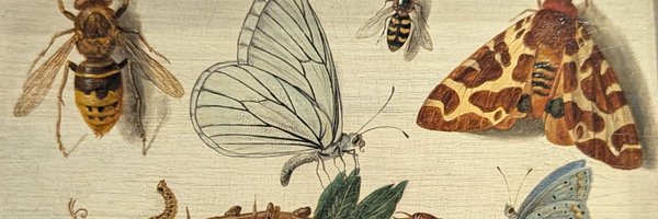 FritillaryLilly Profile Banner