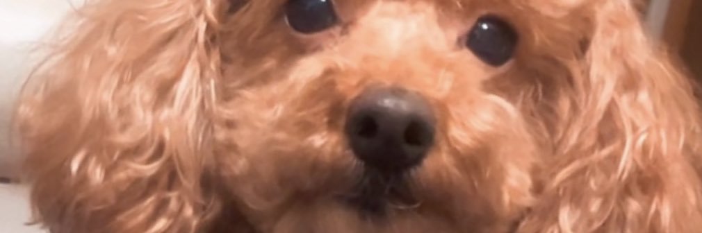hi_____s2's profile banner image