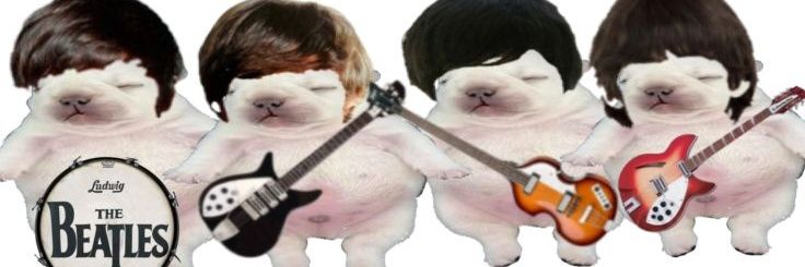 juliaaaaaa_19's profile banner image