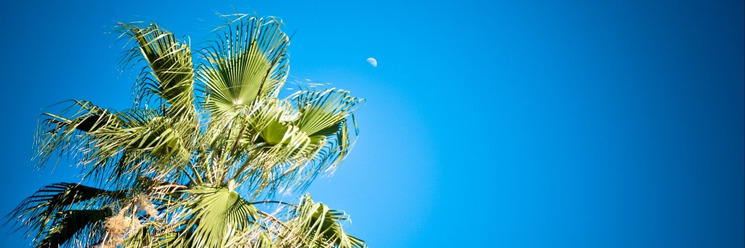 ojalets's profile banner image