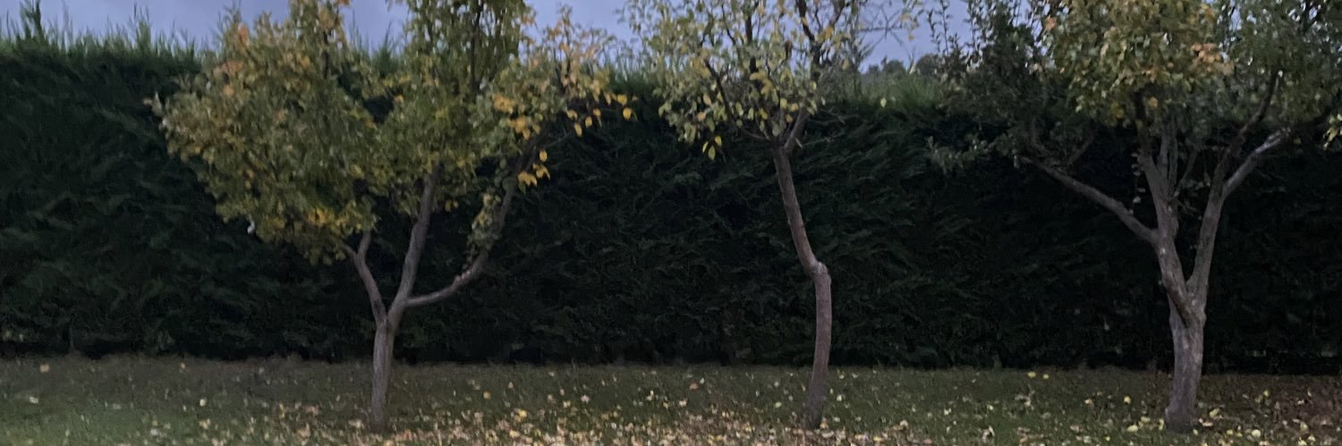 jorgeeddiaz's profile banner image