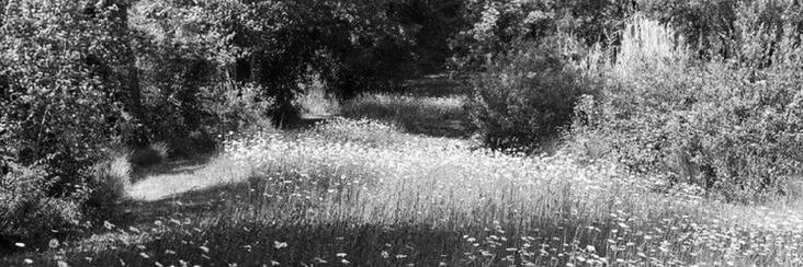 𝒀𝑶𝑼𝑹 𝑳𝑶𝑽𝑬𝑺 𝑮𝑶𝑻 𝑴𝑬 𝑯𝑰𝑮𝑯 .ᐟ//📌📌 banner