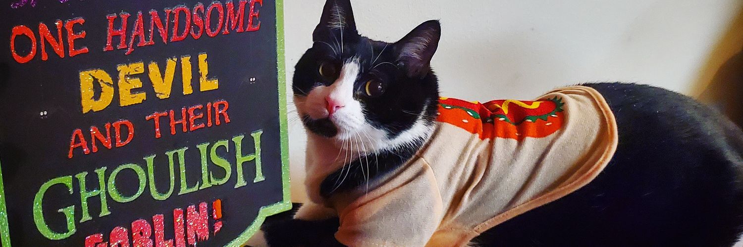 pawtreon's profile banner image