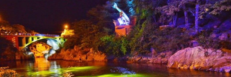 Maestro Roshi banner