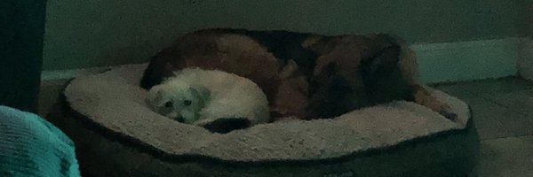 scarponedraws Profile Banner