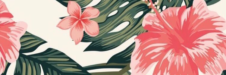 bbrrxi's profile banner image