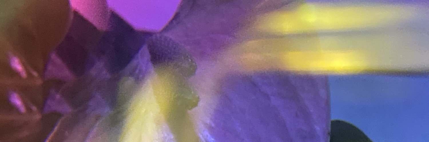 eggpoonk's profile banner image