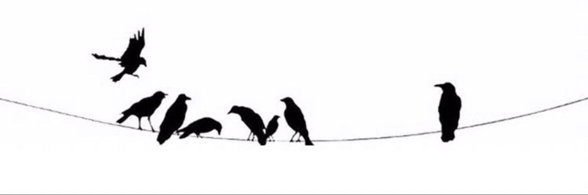 Zoozalkhaifi's profile banner image