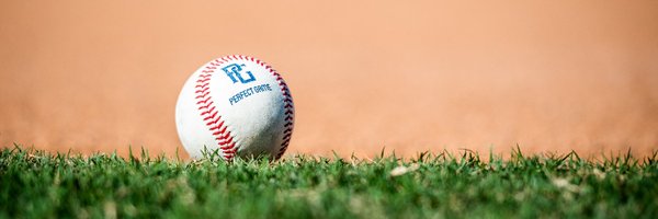 txperfectgame Profile Banner