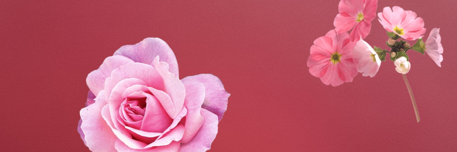 ValeIacovone's profile banner image