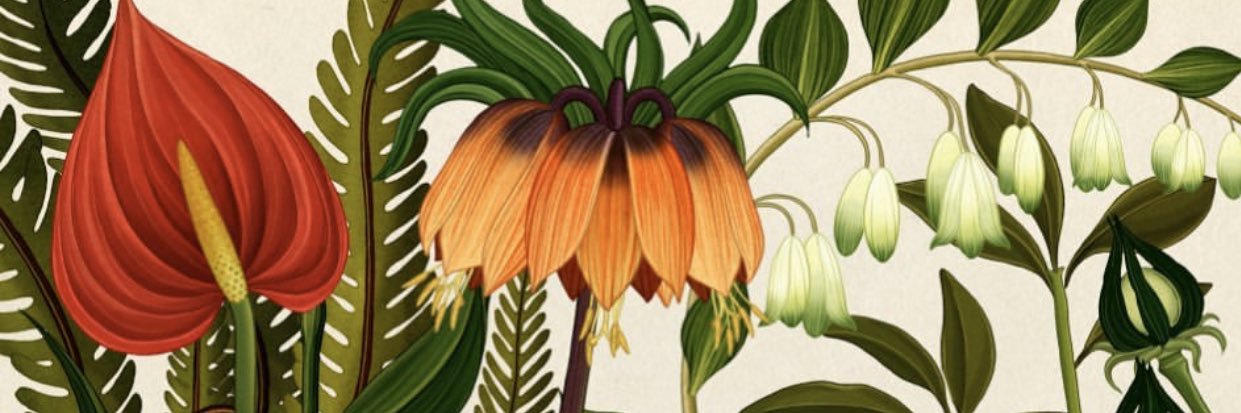 Minouche Besters banner