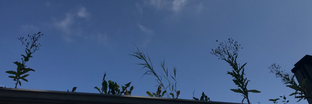 foshaym's profile banner image