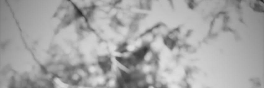 Leonardo_61's profile banner image