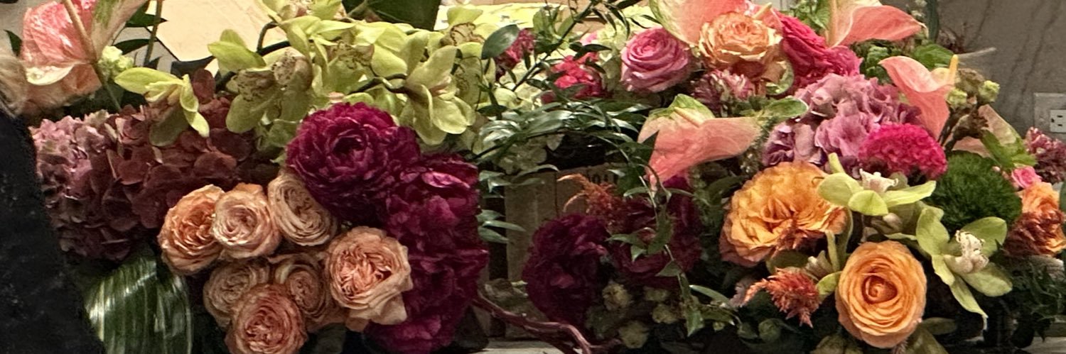 LeeSanders_SBW's profile banner image