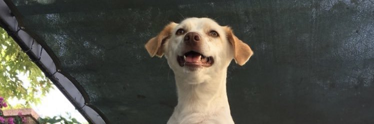 BurakErogluq's profile banner image
