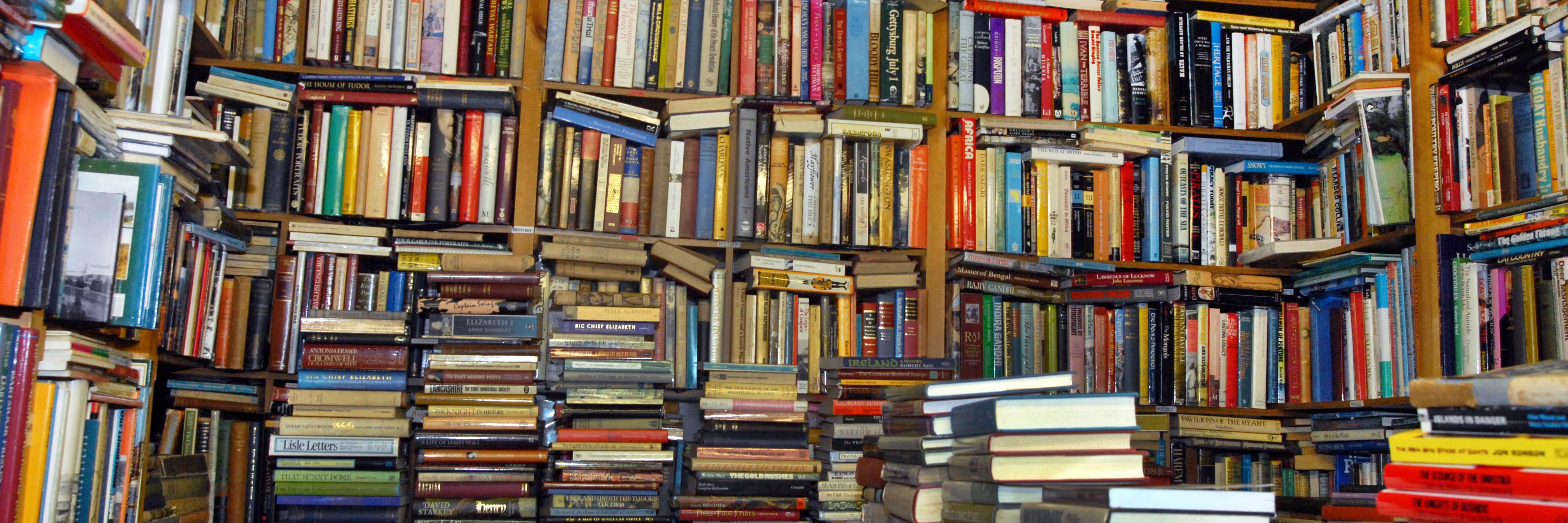 Sara James - 🏳️‍⚧️ TG Author banner