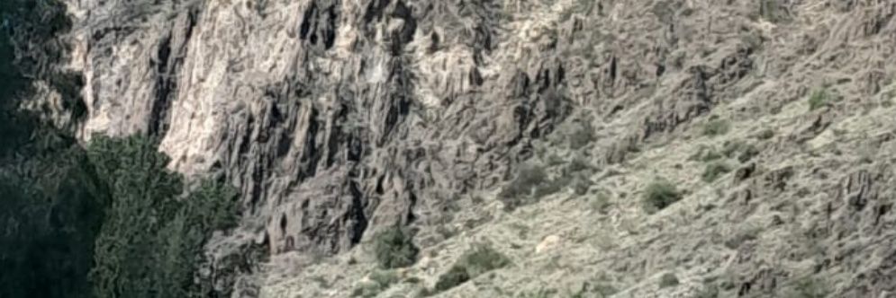 💙Agustinitaaaa banner