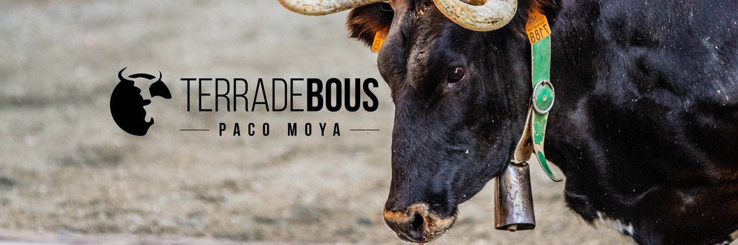 Terra de Bous banner