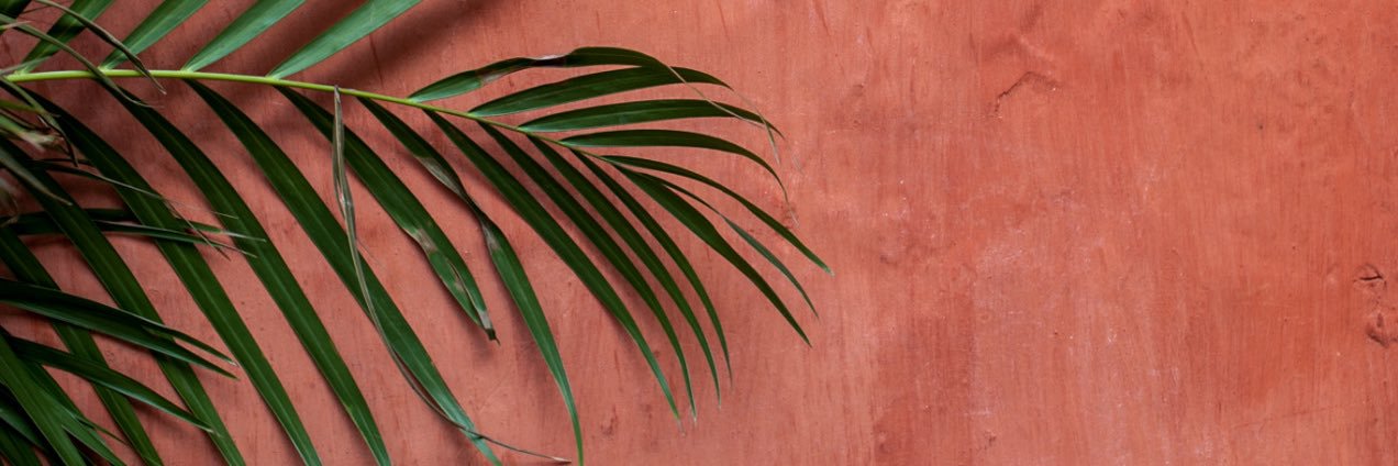 AdventurousBro banner