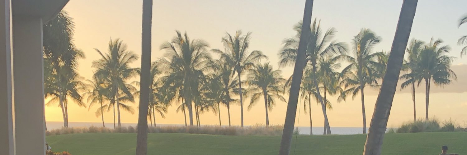 toriig7's profile banner image