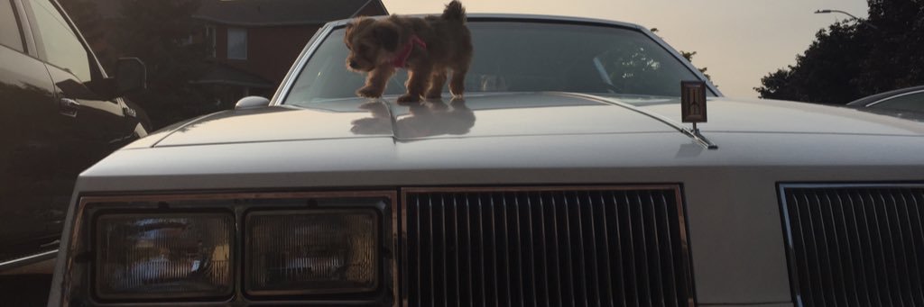JacksonCrue's profile banner image