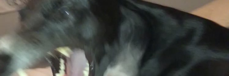 mairconnk's profile banner image