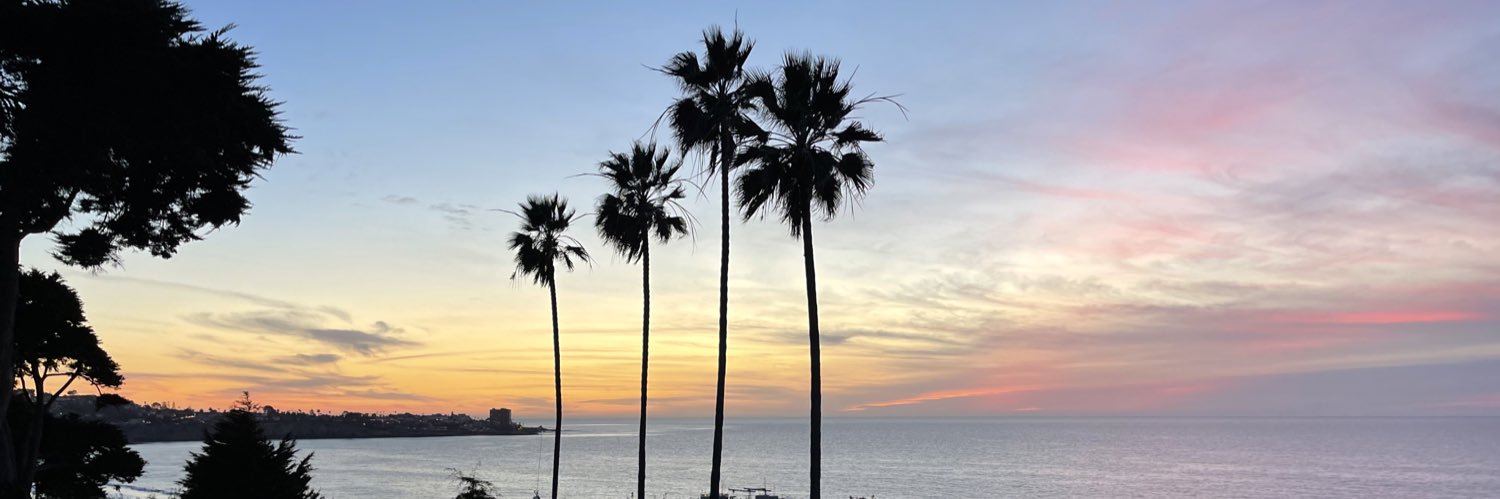 Roberto Krishan banner