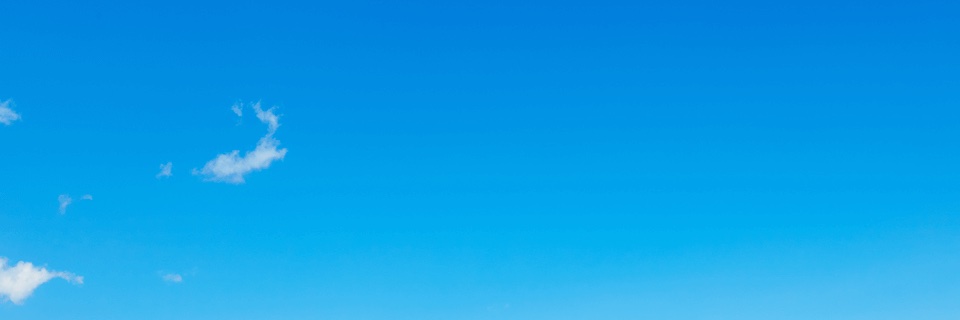 しろたえ banner