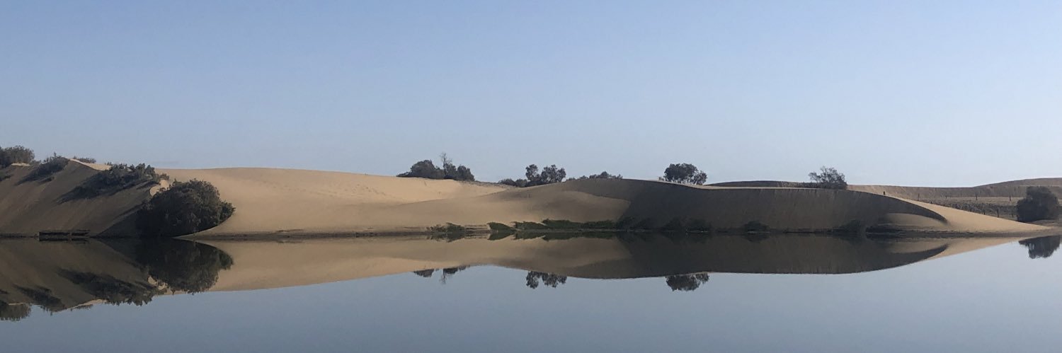 VGibbins's profile banner image