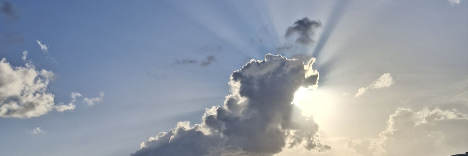 mxlle_audee's profile banner image