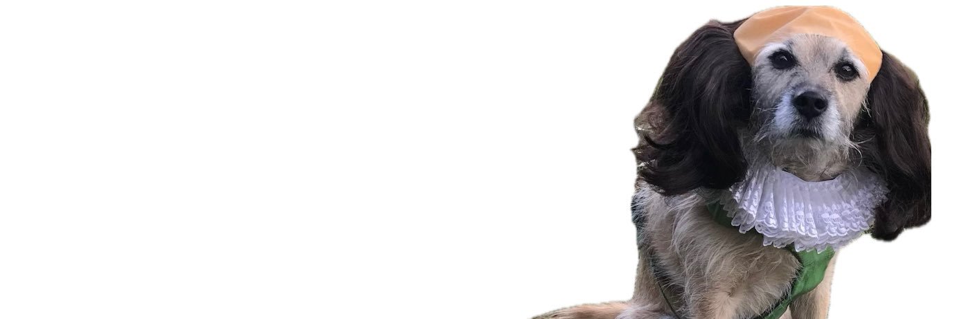 heather_chafe's profile banner image