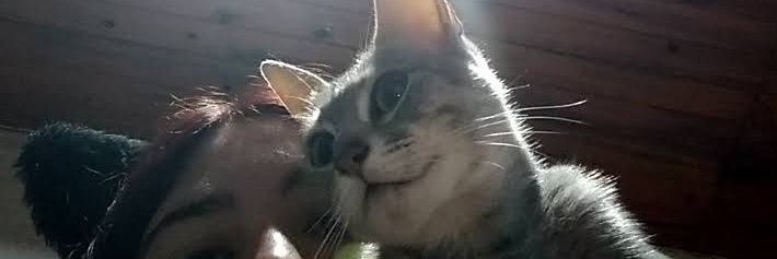 catboydillom's profile banner image