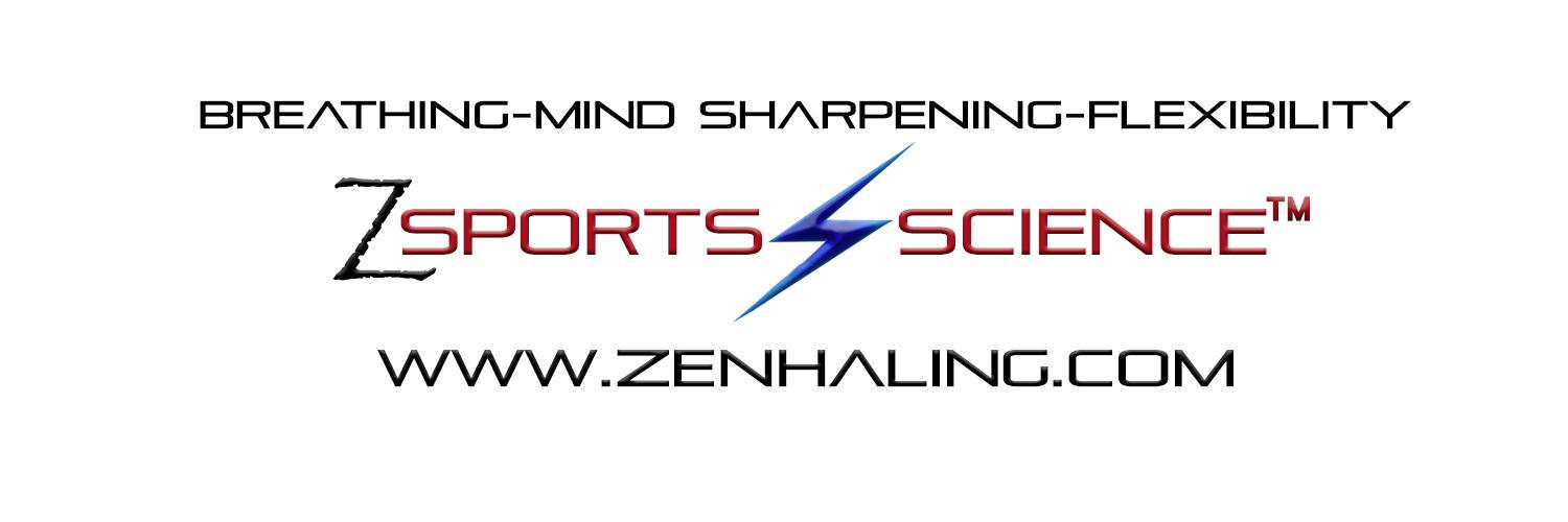 Zenhaling's profile banner image
