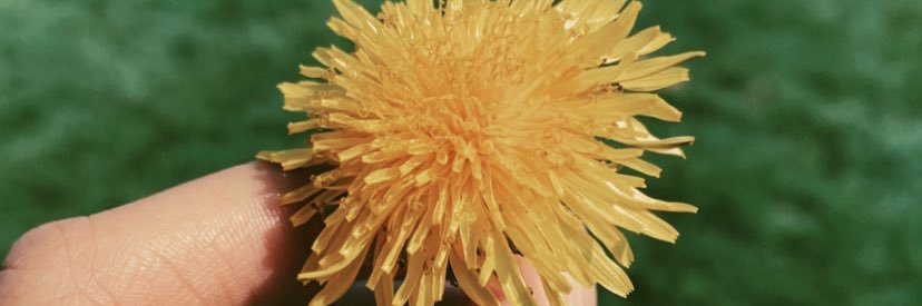_megaannnn's profile banner image