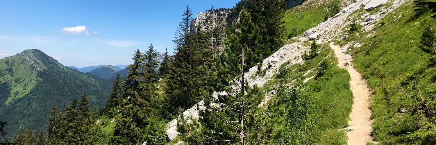 Antoine Gallenne banner