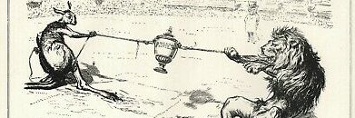 Duke and Kookaburra banner