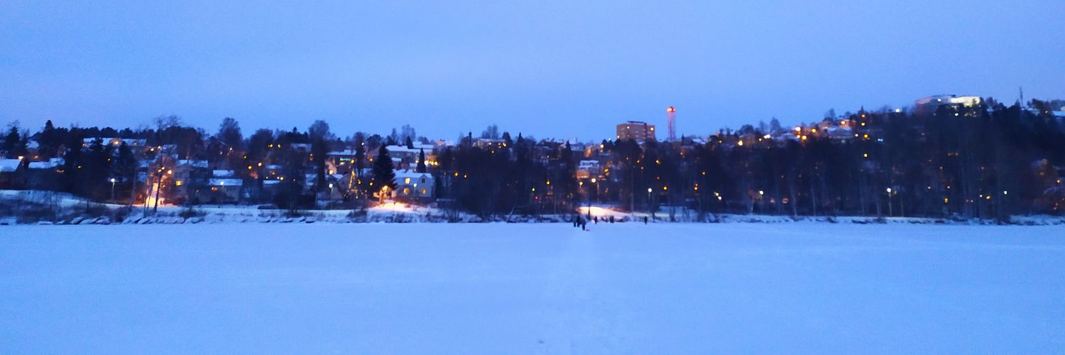 AnuRopponen's profile banner image