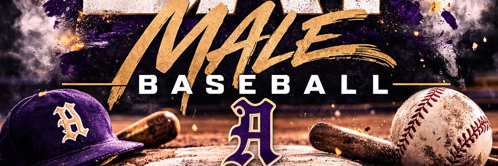 Louisville Male Baseball banner