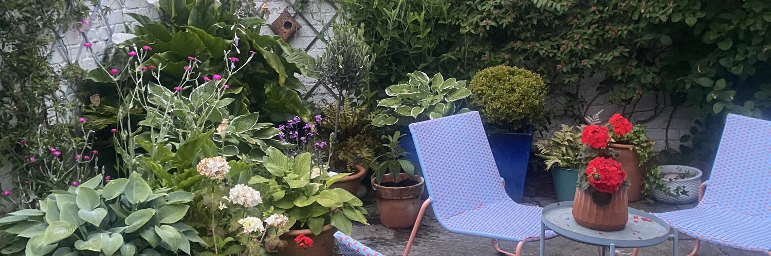 Dr Clare Maxwell banner