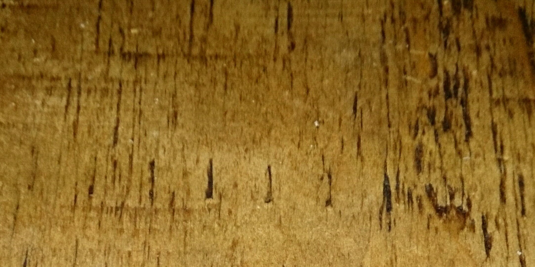 jodycrozz's profile banner image