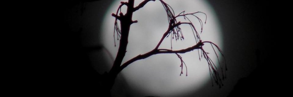 GunsForGooby's profile banner image