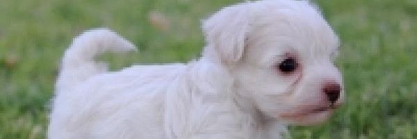 dayeubone's profile banner image