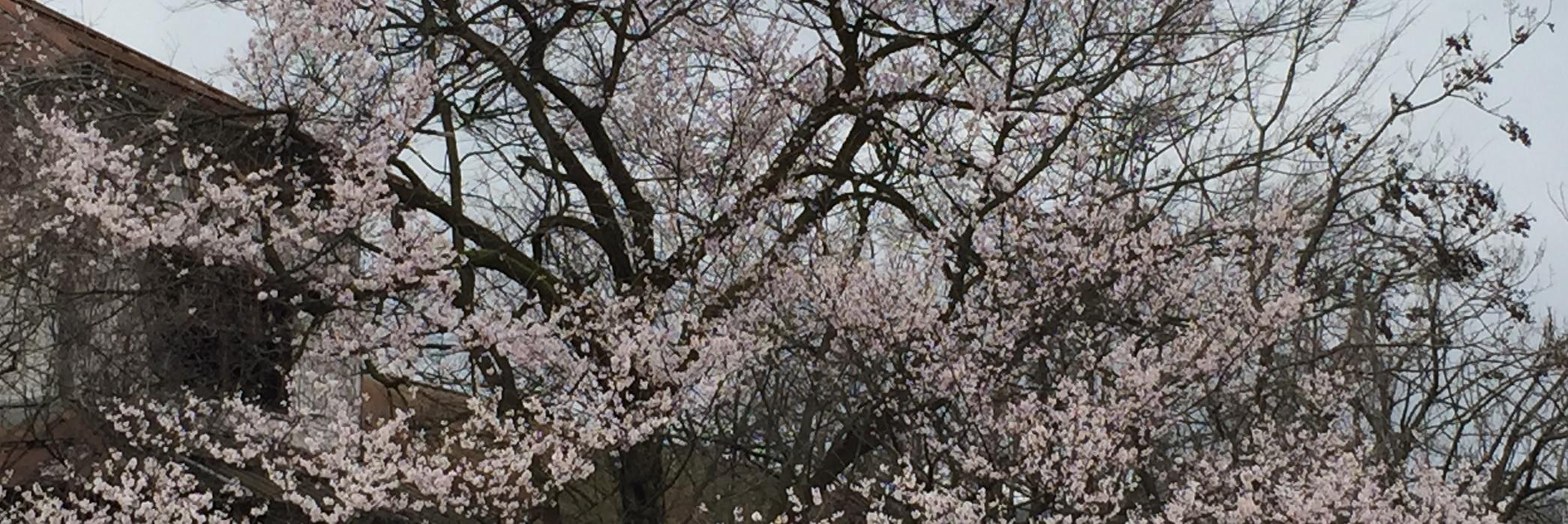 littlejohn おまいも1/35にしてやるよ。 banner