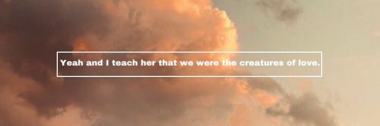 lexy_bennett22's profile banner image