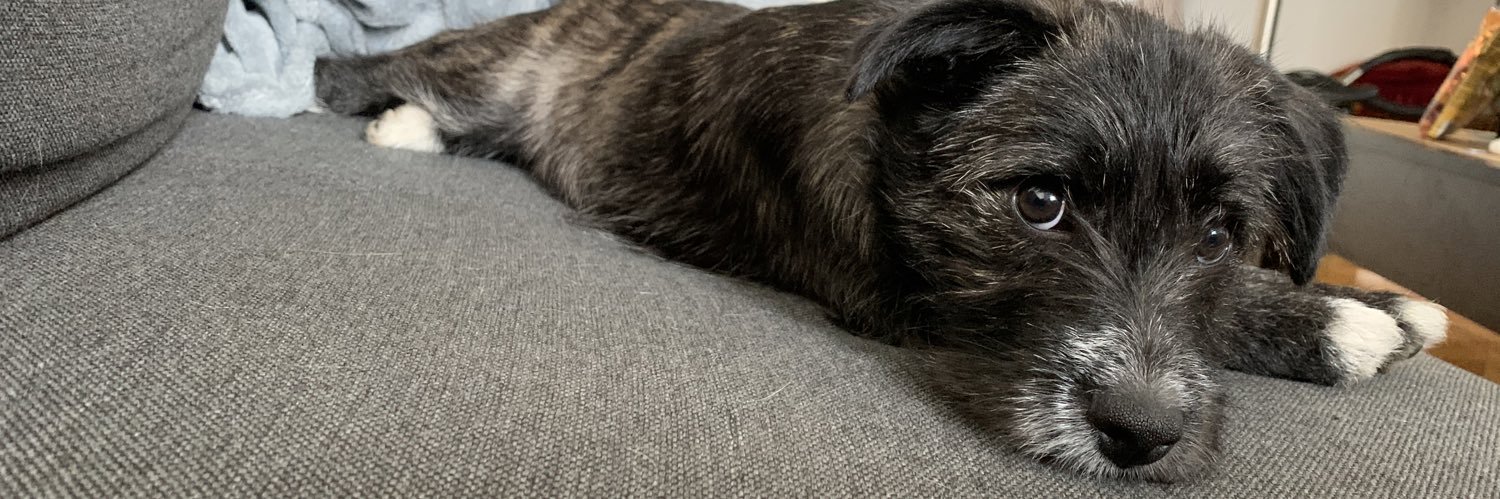 Bamblebea's profile banner image