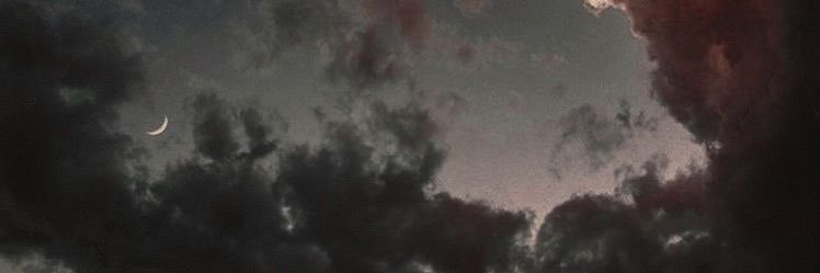 Marissa Marko Lee✨ banner